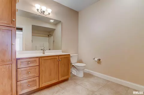 324 Grindstone Rd, Chatham, IL 62629 photo 43