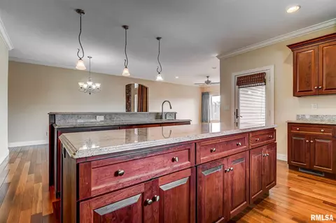 324 Grindstone Rd, Chatham, IL 62629 photo 12
