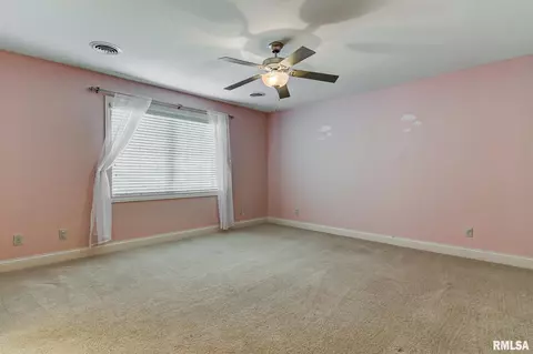 324 Grindstone Rd, Chatham, IL 62629 photo 29
