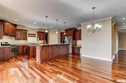 324 Grindstone Rd, Chatham, IL 62629 photo 9