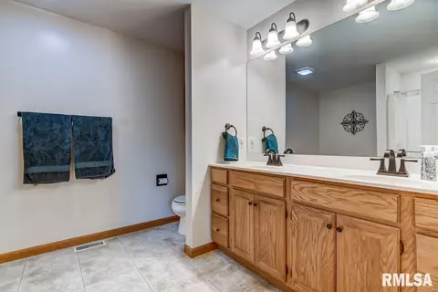6704 Phlox Dr, Springfield, IL 62712 photo 23