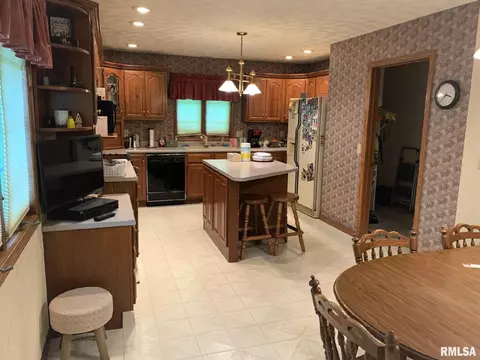 308 W A St, Delavan, IL 61734 photo 4