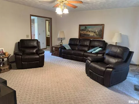 308 W A St, Delavan, IL 61734 photo 3
