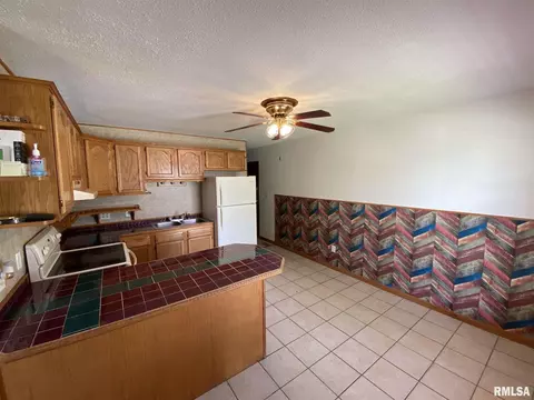 2230 Ramsey Ave, Springfield, IL 62702 photo 3
