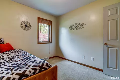 5227 Cantrell Ct, Springfield, IL 62703 photo 20