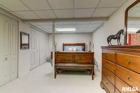 3225 Eagle Watch Dr, Springfield, IL 62711 photo 22