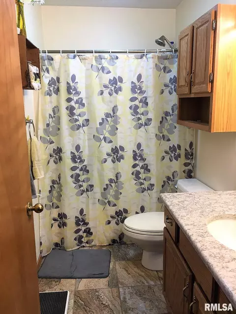 32 Burning Tree Dr, Chatham, IL 62629 photo 25