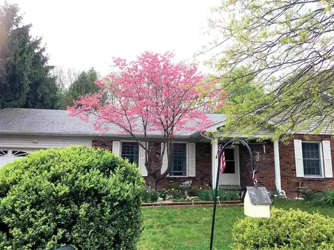 32 Burning Tree Dr, Chatham, IL 62629 photo 3