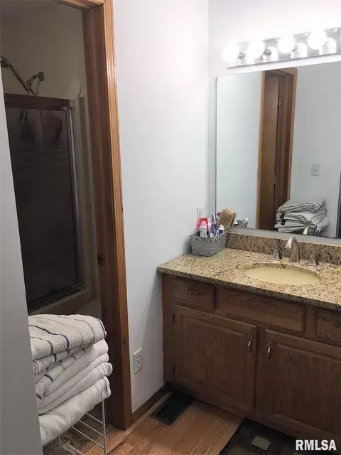 32 Burning Tree Dr, Chatham, IL 62629 photo 21