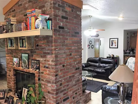 32 Burning Tree Dr, Chatham, IL 62629 photo 9