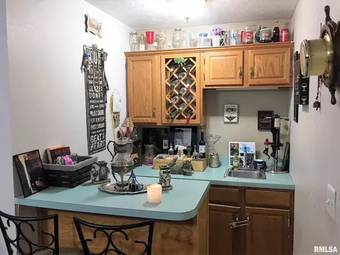 32 Burning Tree Dr, Chatham, IL 62629 photo 14