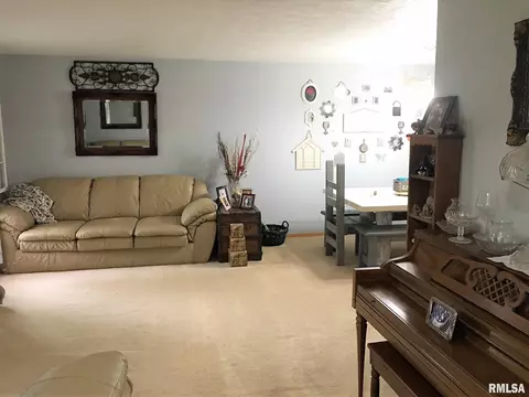 32 Burning Tree Dr, Chatham, IL 62629 photo 16