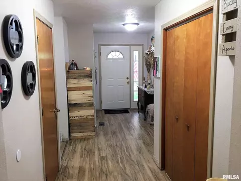 32 Burning Tree Dr, Chatham, IL 62629 photo 18