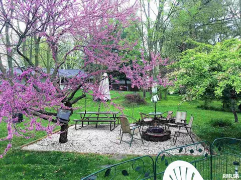 32 Burning Tree Dr, Chatham, IL 62629 photo 6