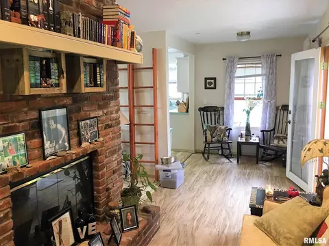 32 Burning Tree Dr, Chatham, IL 62629 photo 11
