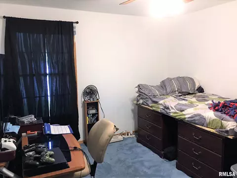 32 Burning Tree Dr, Chatham, IL 62629 photo 27
