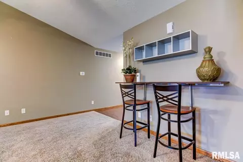 506 E Spruce St, Chatham, IL 62629 photo 10