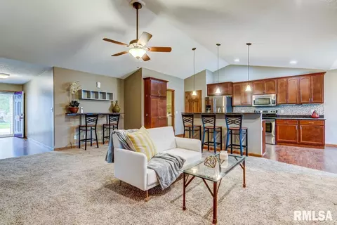 506 E Spruce St, Chatham, IL 62629 photo 7