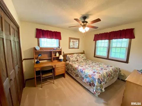 220 Brian Ln, Dawson, IL 62520 photo 28
