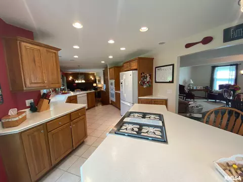 220 Brian Ln, Dawson, IL 62520 photo 7