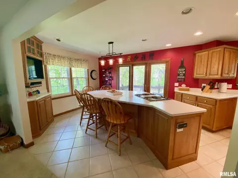 220 Brian Ln, Dawson, IL 62520 photo 2