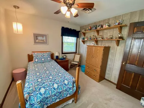 220 Brian Ln, Dawson, IL 62520 photo 27