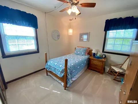 220 Brian Ln, Dawson, IL 62520 photo 26