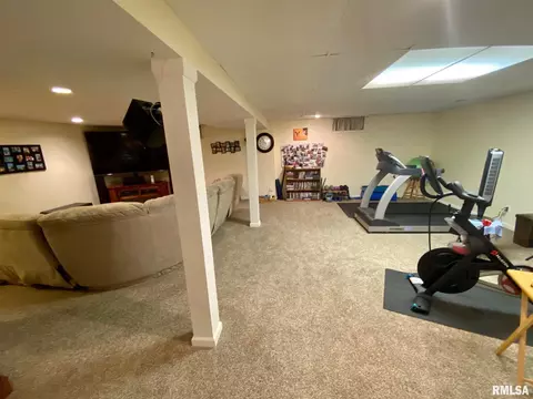 220 Brian Ln, Dawson, IL 62520 photo 33