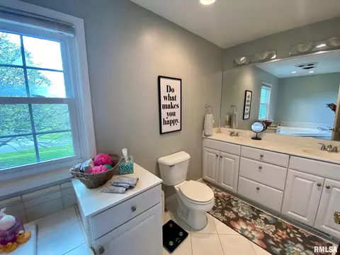 220 Brian Ln, Dawson, IL 62520 photo 24