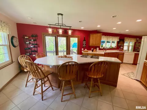 220 Brian Ln, Dawson, IL 62520 photo 5