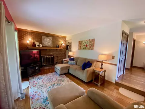 220 Brian Ln, Dawson, IL 62520 photo 10