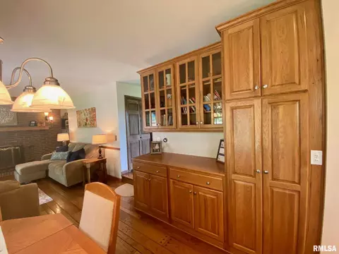 220 Brian Ln, Dawson, IL 62520 photo 9