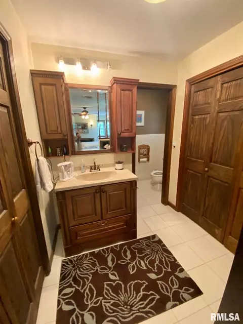 220 Brian Ln, Dawson, IL 62520 photo 21