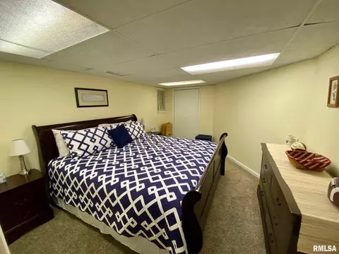 220 Brian Ln, Dawson, IL 62520 photo 35