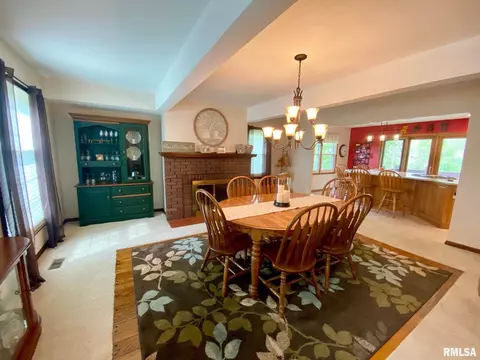220 Brian Ln, Dawson, IL 62520 photo 13