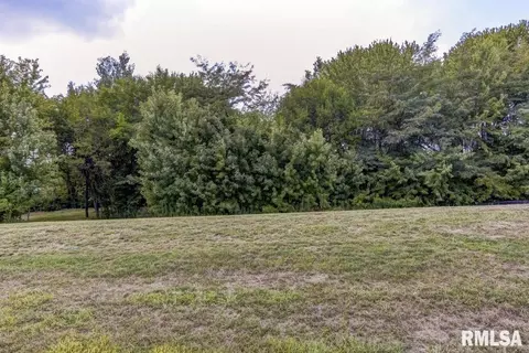 401 Ramblewood Rd, Chatham, IL 62629
