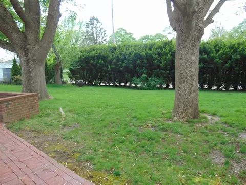 38 Crestview Dr, Chatham, IL 62629 photo 32