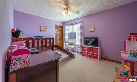 12 Lamplighter Cir, Mount Pulaski, IL 62548 photo 31