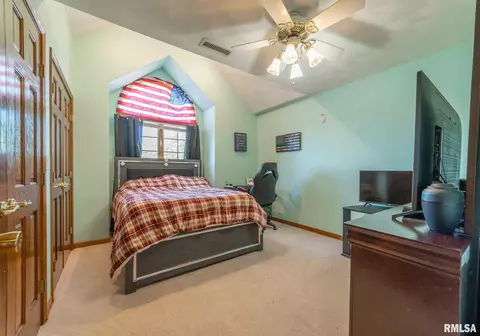 12 Lamplighter Cir, Mount Pulaski, IL 62548 photo 27