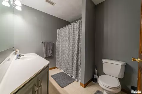 12 Lamplighter Cir, Mount Pulaski, IL 62548 photo 33