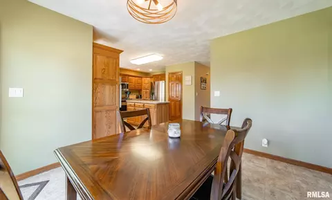 12 Lamplighter Cir, Mount Pulaski, IL 62548 photo 12
