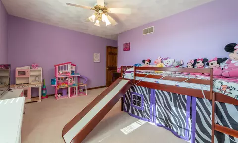 12 Lamplighter Cir, Mount Pulaski, IL 62548 photo 32