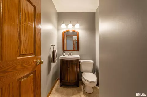12 Lamplighter Cir, Mount Pulaski, IL 62548 photo 21