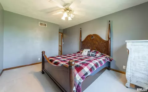 12 Lamplighter Cir, Mount Pulaski, IL 62548 photo 30