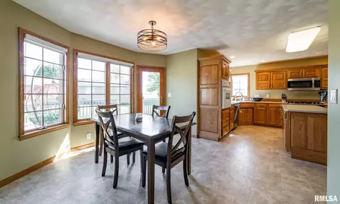 12 Lamplighter Cir, Mount Pulaski, IL 62548 photo 11