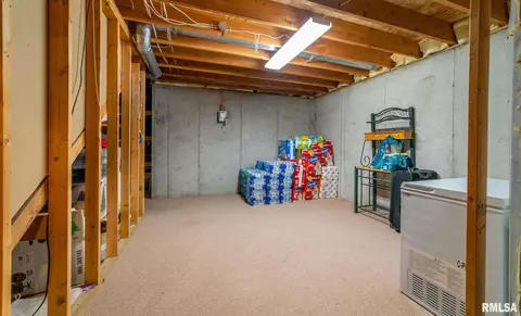 12 Lamplighter Cir, Mount Pulaski, IL 62548 photo 37