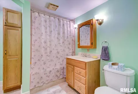 2117 Bates Ave, Springfield, IL 62704 photo 39
