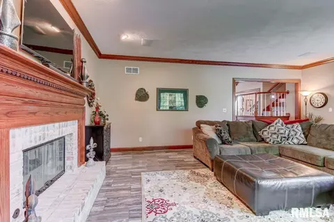 4601 Turtle Bay Dr, Springfield, IL 62711 photo 10