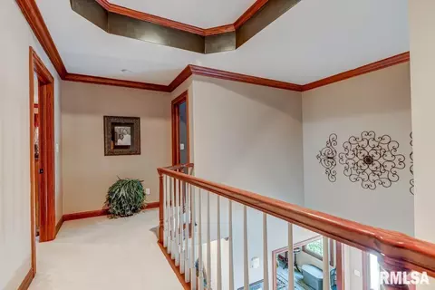 4601 Turtle Bay Dr, Springfield, IL 62711 photo 22