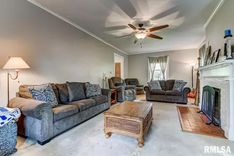 1323 S Park Ave, Springfield, IL 62704 photo 10
